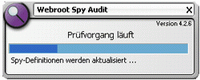 spy audit at work